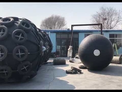 Exibição de defensas STS