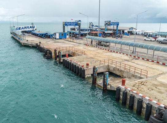 Qualidade D-tipo marinho para-choque de borracha fácil instalar o tamanho feito sob encomenda durável forte disponível fábrica