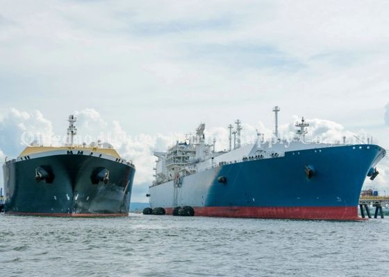 Qualidade Para-choque de borracha pneumático de Yokohama para transferência Pperations de (STS) do navio-à-navio fábrica