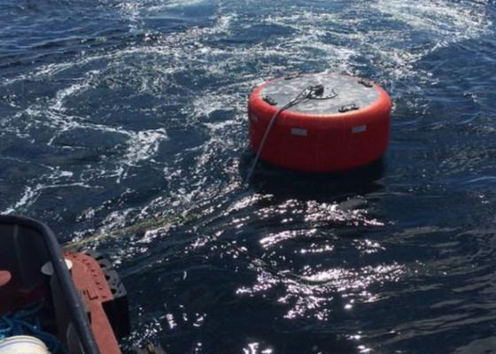 Qualidade Intercepção de solda amarrando boias da navegação marinha fábrica