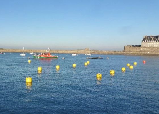 Qualidade Capacidade de carga mais alta marinha da boia de amarração da rapidez forte do tempo para flutuar a plataforma fábrica